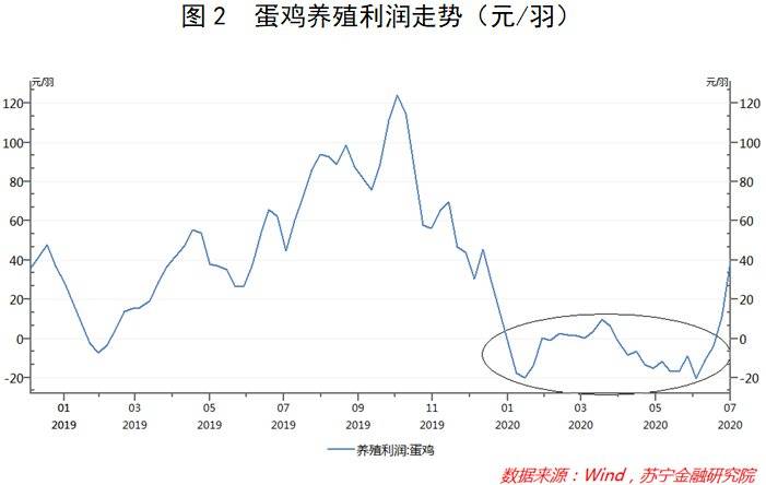 鸡蛋价格“坐火箭” ，谁是幕后推手？