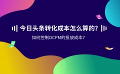 今日头条转化成本怎么算的？如何控制OCPM的投放成本？