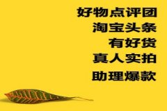 淘宝好物点评团为什么有些看不到？好物点评团常见问题