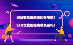 网站收录低的原因有哪些？SEO优化能提高收录量吗？