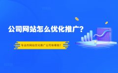 公司网站怎么优化推广？专业的网站优化推广公司有哪些？