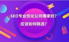 SEO专业优化外包公司哪家好？应该如何挑选？