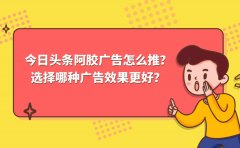 今日头条阿胶广告怎么推？选择哪种广告效果更好？