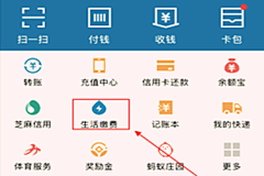 支付宝生活缴费里的电费多久更新一次？频率是几天？