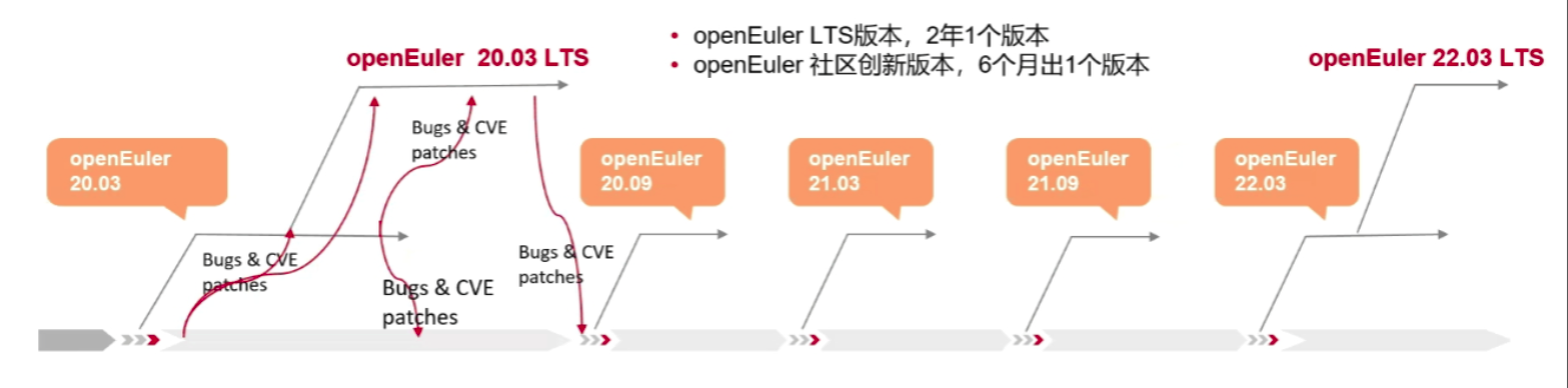 openEuler 20.03 LTS 发布 同时发布 4 款合作厂商发行版