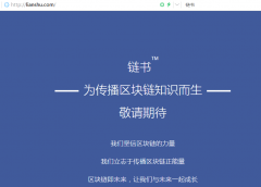 原来不是facebook！区块链终端22万元秒下“脸书”域名lianshu.co