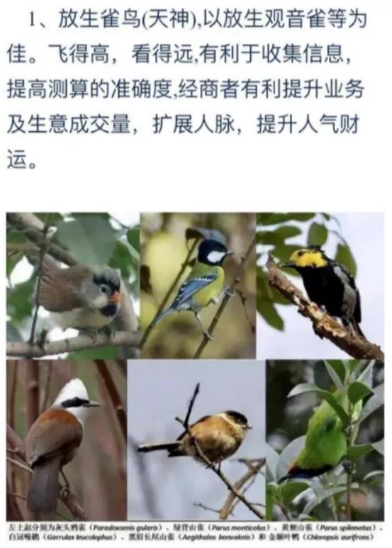 看完这些伪善的放生骚操作，你真的会被气笑