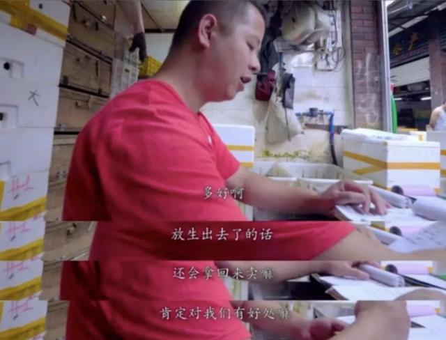 看完这些伪善的放生骚操作，你真的会被气笑