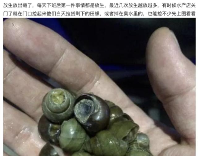 看完这些伪善的放生骚操作，你真的会被气笑