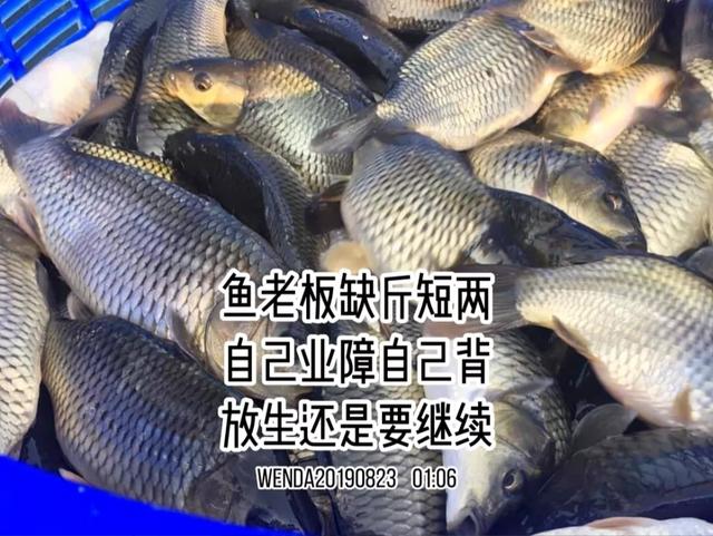 看完这些伪善的放生骚操作，你真的会被气笑