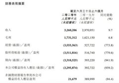 阅文集团上半年营收32.6亿元 受新丽商誉减值及业绩不达预期影响