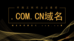 早期互联网企业最爱——.com.cn域名简介