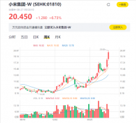 近一年来新高！小米股价大涨超8% 市值突破5000亿港元