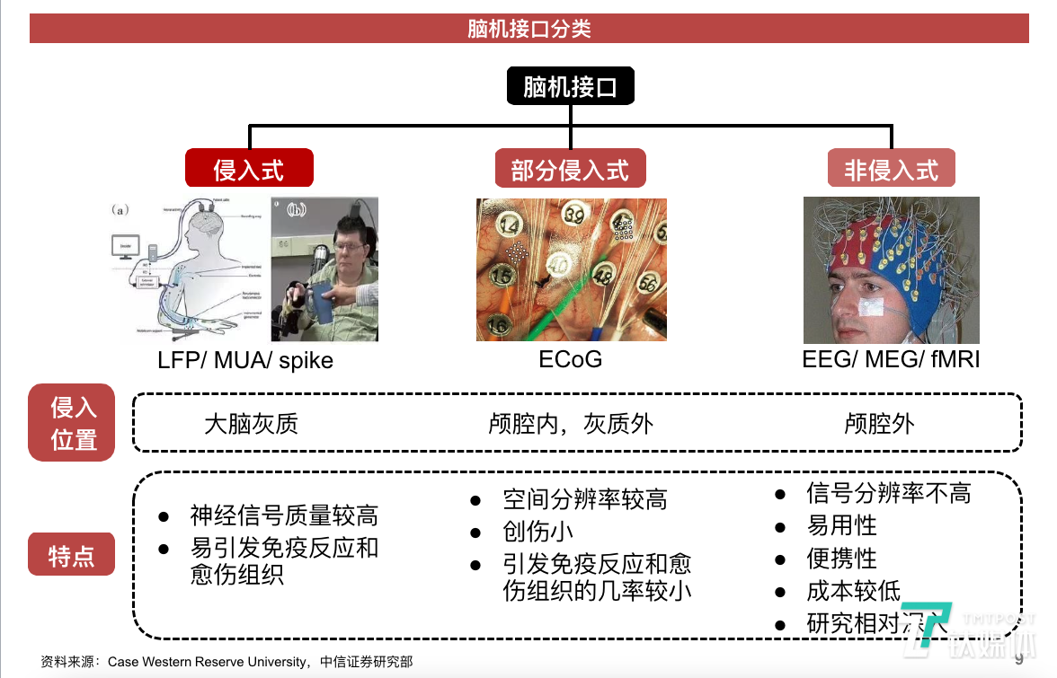 “硬币”1小时内植入三只猪脑，造完火箭的马斯克又发布黑科技