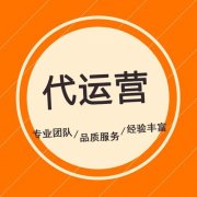 淘宝代运营具体能够提供卖家什么服务？