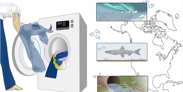 你洗牛仔裤掉的“色儿”，已经污染到北极海洋了