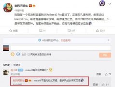 华为Mate 40 Pro“真机”曝光：双孔瀑布屏+对称双扬声器