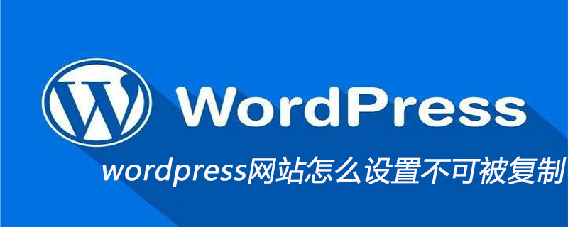 wordpress网站怎么设置不可被复制