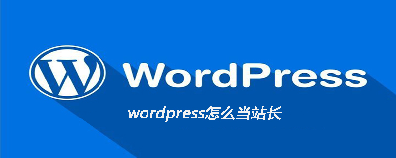 wordpress怎么当站长