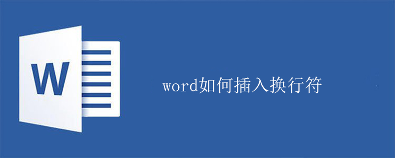 word如何插入换行符