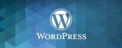 如何使用代理服务器解决升级WordPress慢的问题