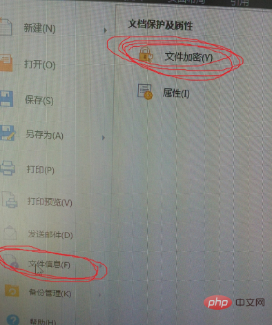 wps密码保护文件如何解除密码？