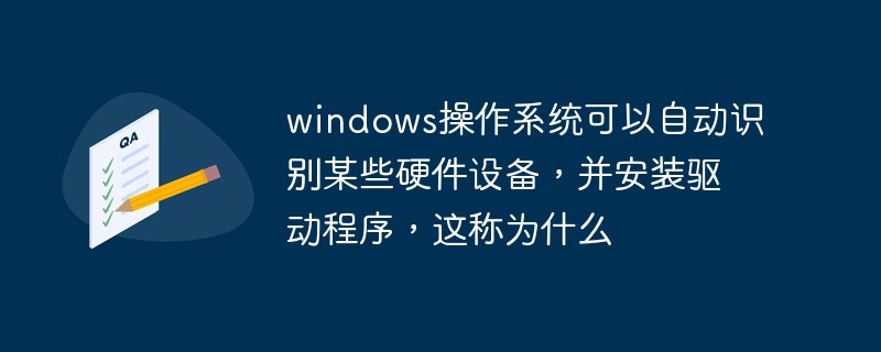 windows操作系统可以自动识别某些硬件设备，并安装驱动程序，这称为什么