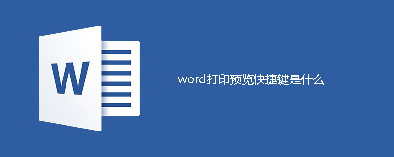 word打印预览快捷键是什么