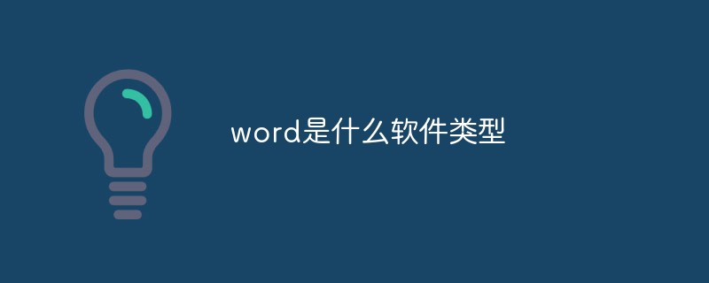 word是什么软件类型