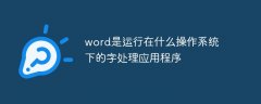 word是运行在什么操作系统下的字处理应用程序