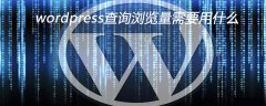 wordpress查询浏览量需要用什么