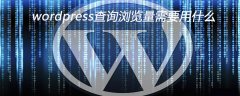 wordpress查询浏览量需要用什么