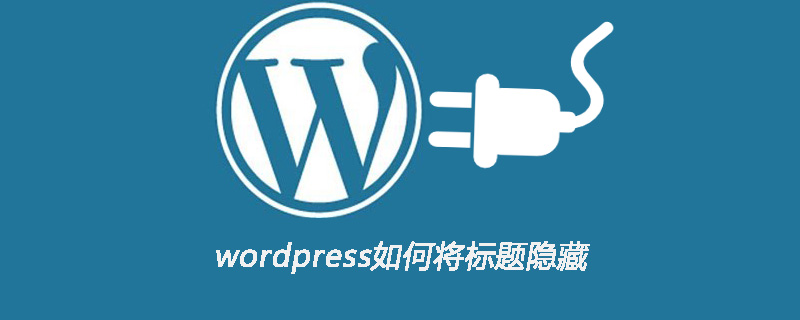 wordpress如何将标题隐藏