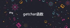 getchar函数只能接收一个什么参数