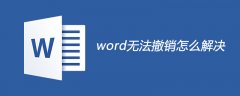 word无法撤销怎么解决