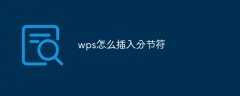 wps怎么插入分节符