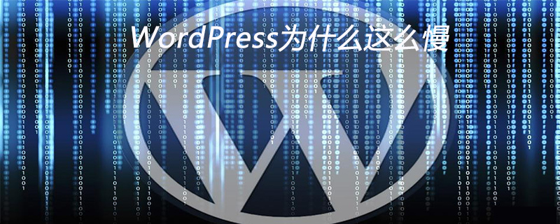 WordPress为什么这么慢