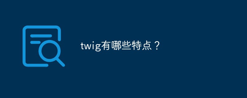 twig有哪些特点？