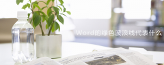 Word的绿色波浪线代表什么