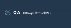 网络wps是什么意思？