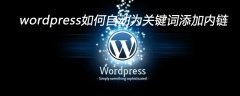 wordpress如何自动为关键词添加内链