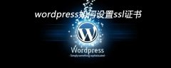 wordpress如何设置ssl证书