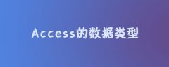 Access的数据类型