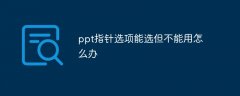 ppt指针选项能选但不能用怎么办