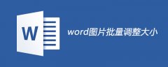 word图片怎么批量调整大小