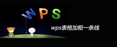 wps表格加粗一条线