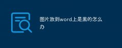 图片放到word上是黑的怎么办