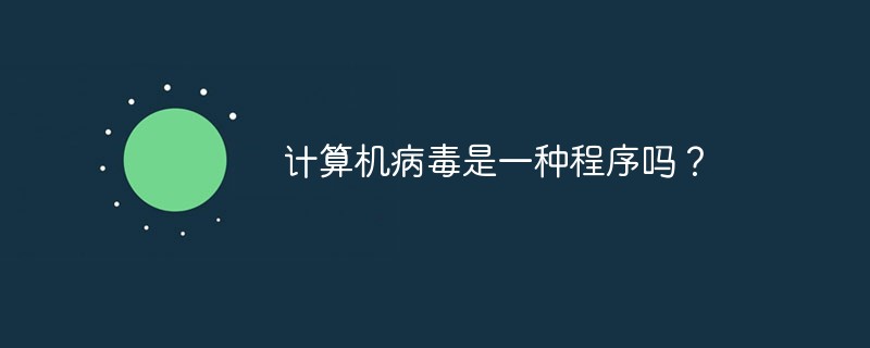 计算机病毒是一种程序吗？