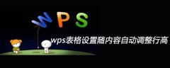 wps表格设置随内容自动调整行高