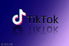 TikTok在8月收入下跌14% 数据显示其仍是最吸金App